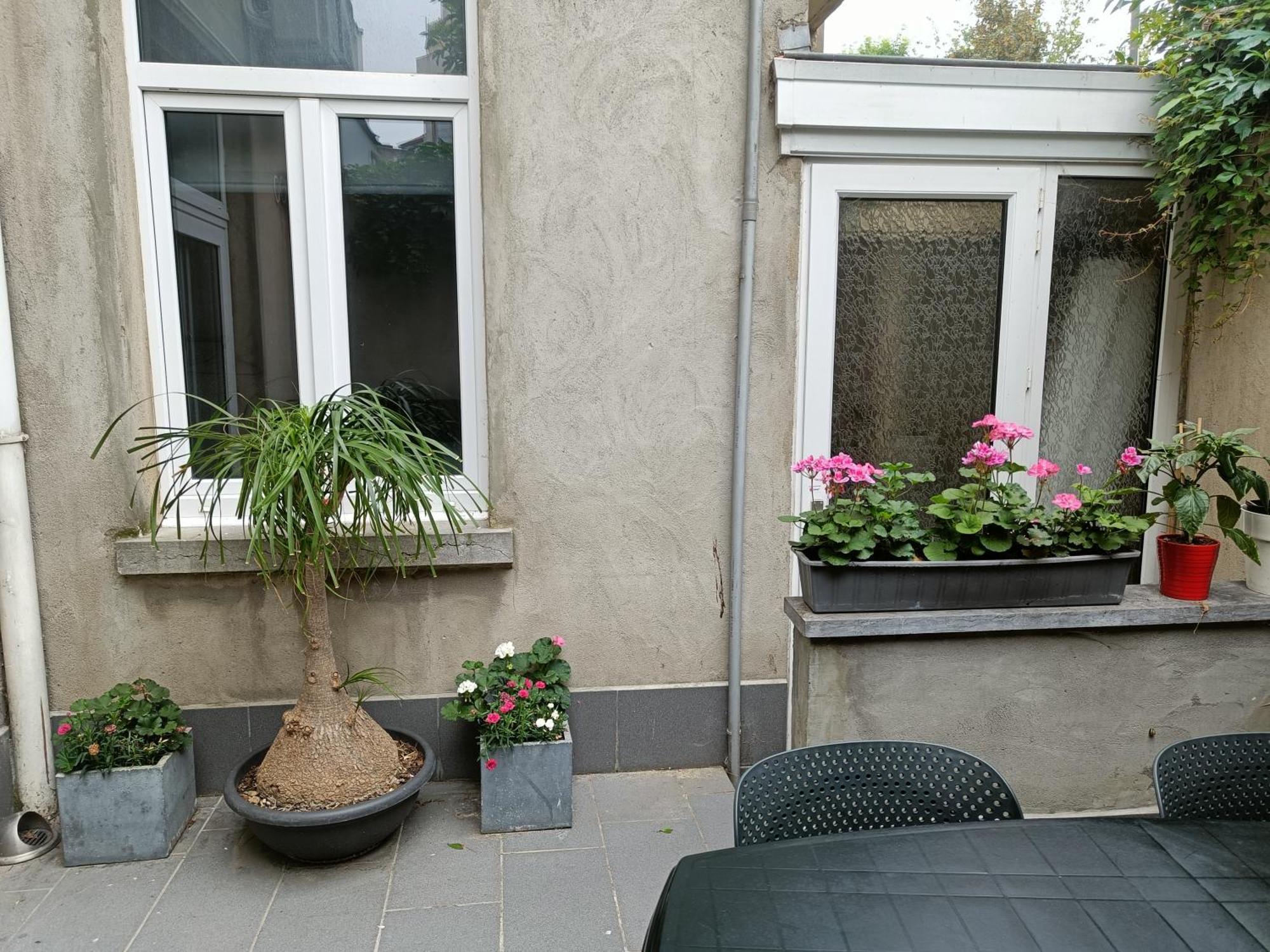 The Brussels-Laken Appartement المظهر الخارجي الصورة
